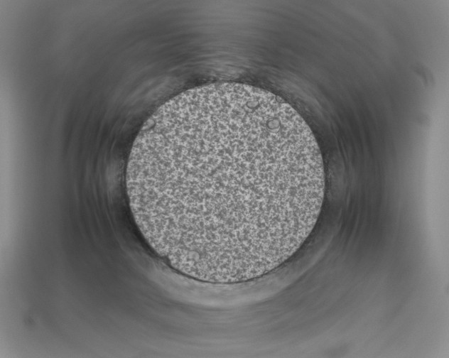 X0000112510034200909281005