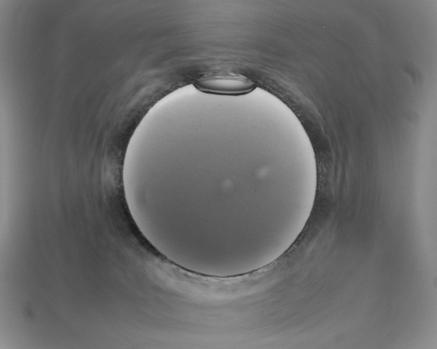 X0000112510035200909281005