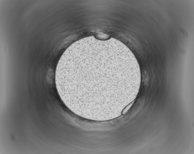 X0000112510036200909281005