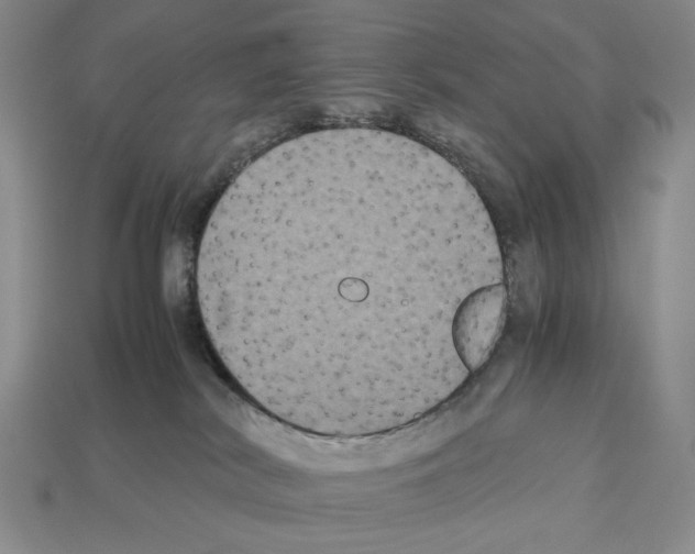 X0000112510038200909281005