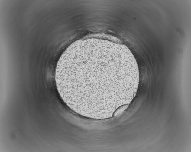 X0000112510040200909281005