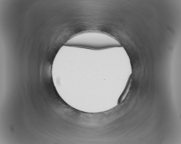 X0000112510041200909281005