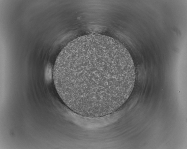 X0000112510042200909281005