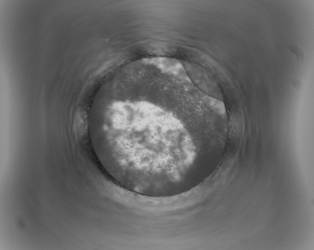 X0000112510043200909281005