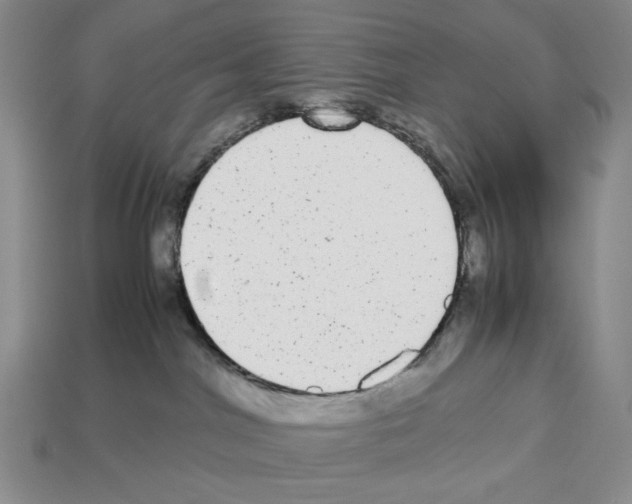 X0000112510044200909281005