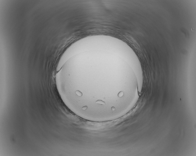 X0000112510045200909281005