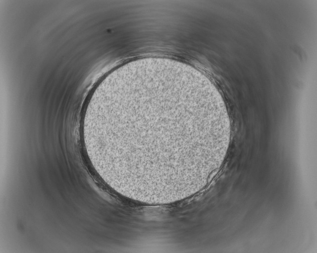 X0000112510050200909281004