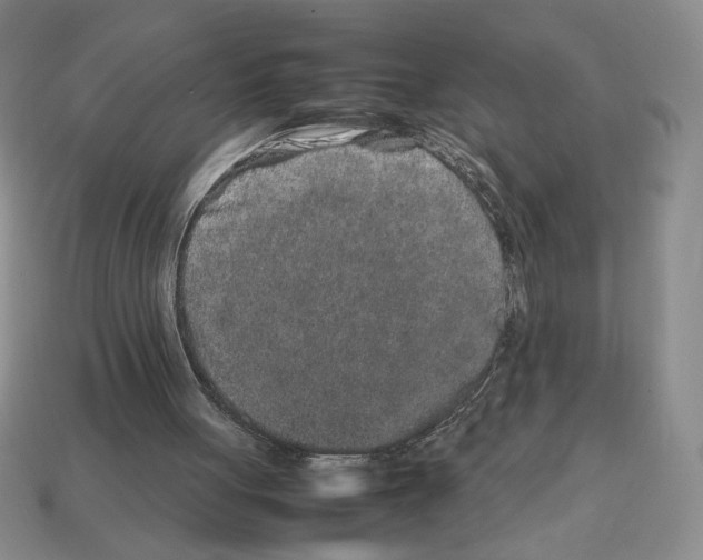 X0000112510051200909281004