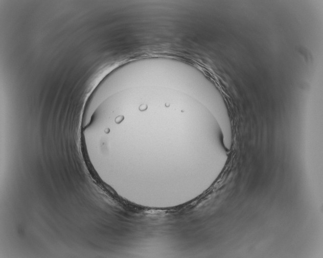 X0000112510052200909281004