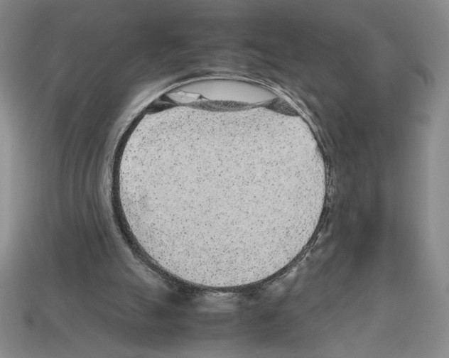 X0000112510055200909281004