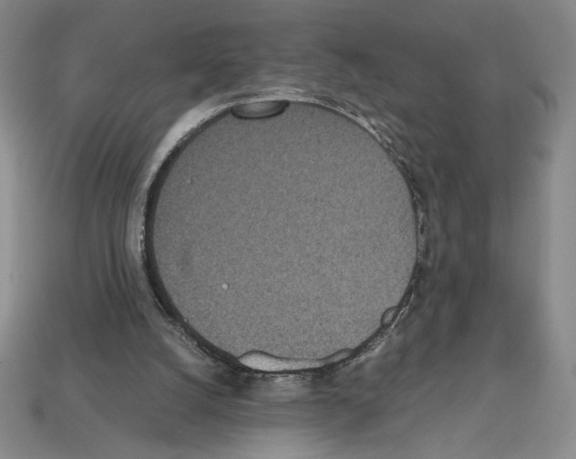 X0000112510056200909281004