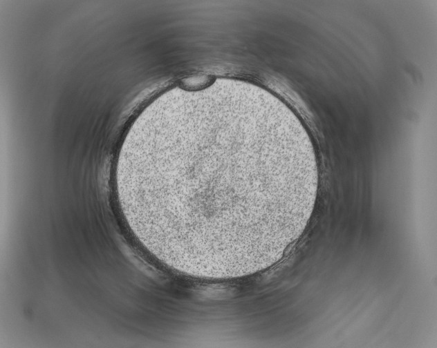 X0000112510058200909281004