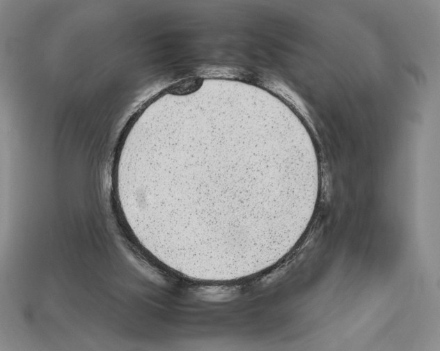 X0000112510059200909281004