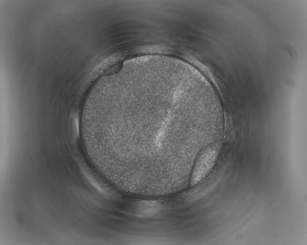 X0000112510061200909281004