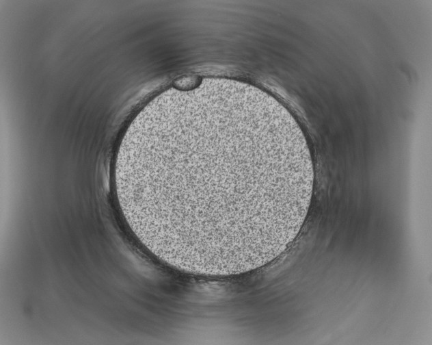 X0000112510062200909281004