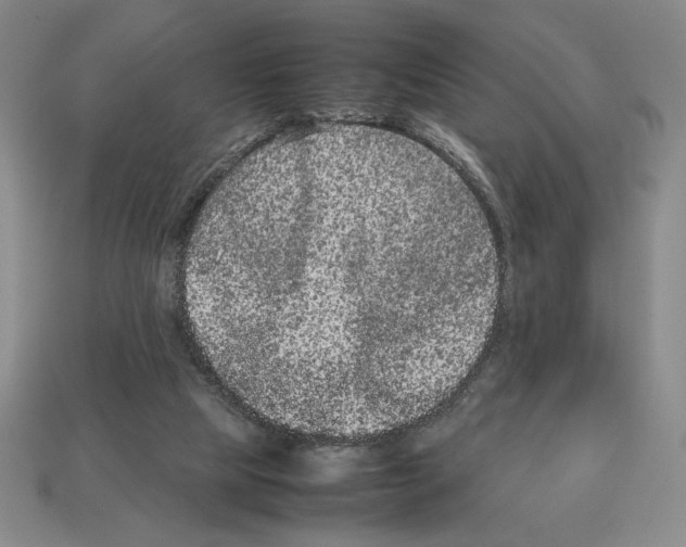 X0000112510065200909281004