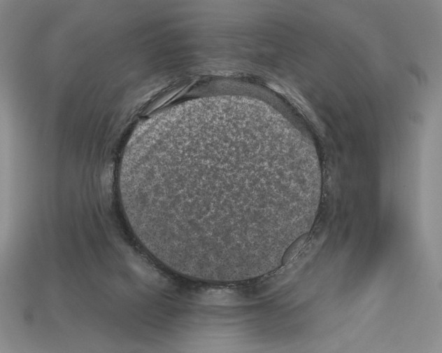 X0000112510066200909281004