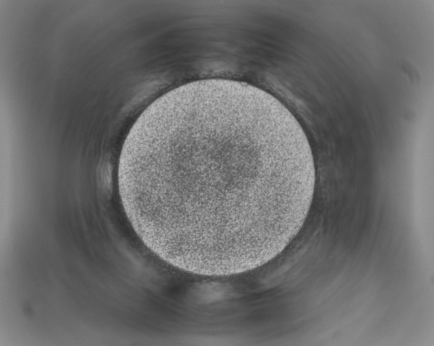 X0000112510067200909281004