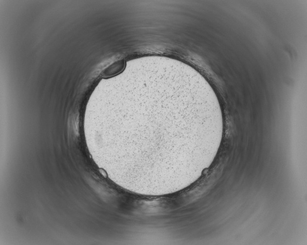 X0000112510068200909281004