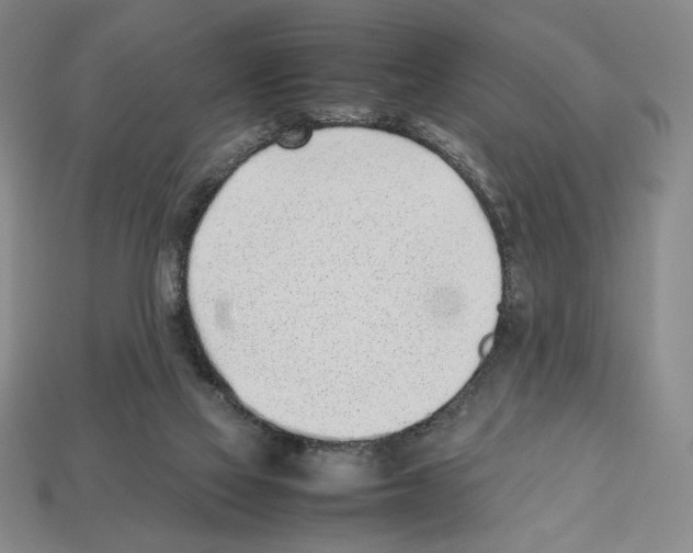 X0000112510069200909281004