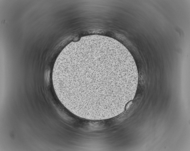 X0000112510070200909281004