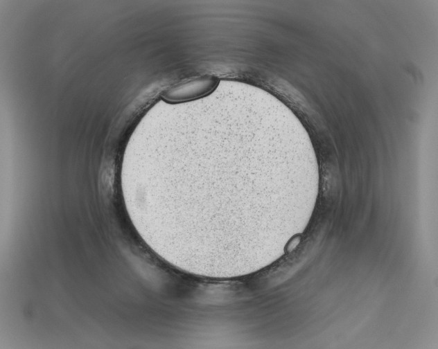 X0000112510072200909281004