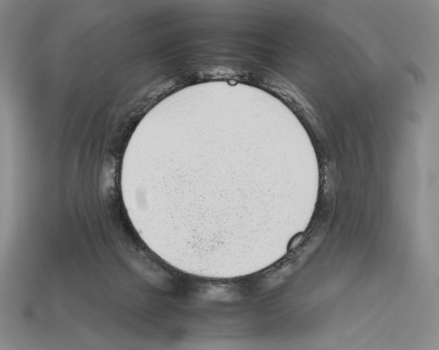 X0000112510073200909281004