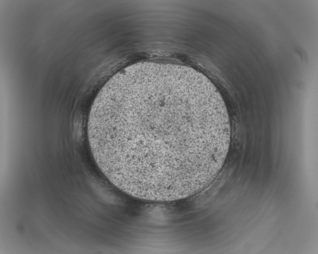 X0000112510074200909281004