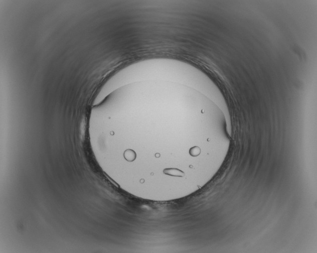 X0000112510076200909281004