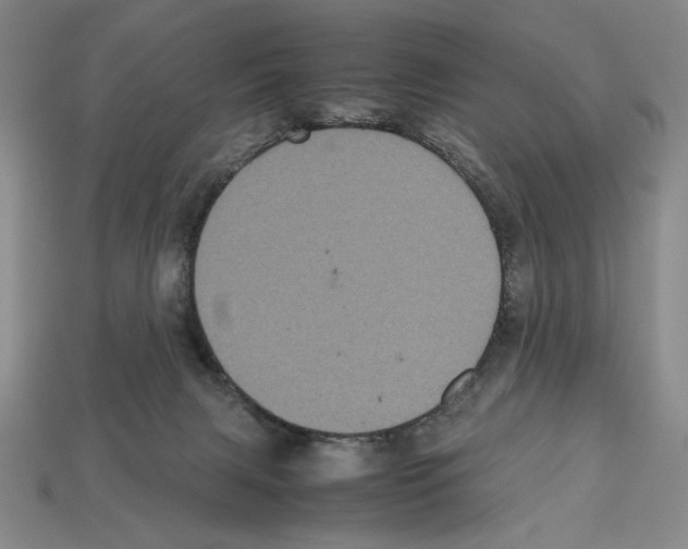 X0000112510079200909281004