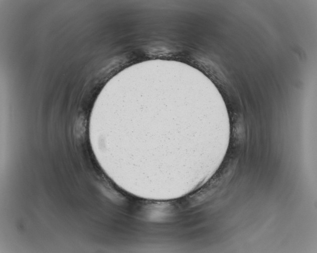 X0000112510081200909281004