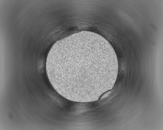 X0000112510082200909281004