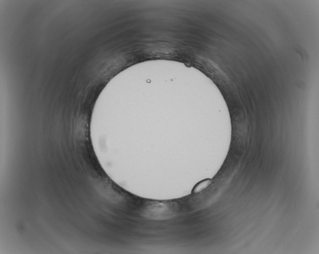 X0000112510083200909281004