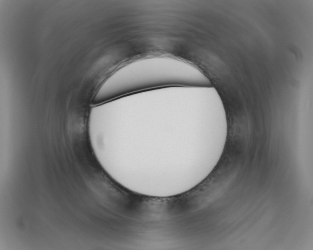 X0000112510084200909281004