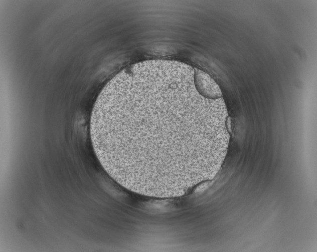 X0000112510086200909281004