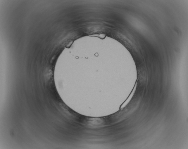 X0000112510087200909281004