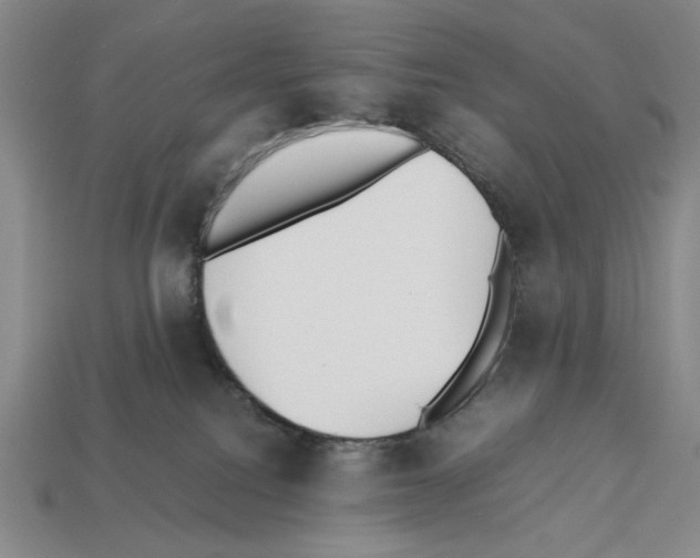 X0000112510088200909281004