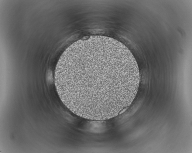 X0000112510089200909281004