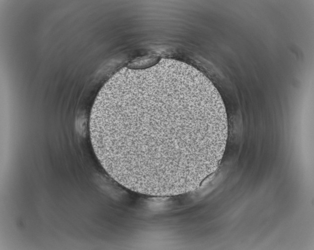 X0000112510090200909281004