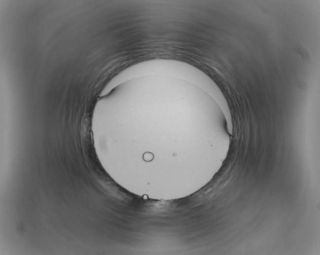 X0000112510092200909281005