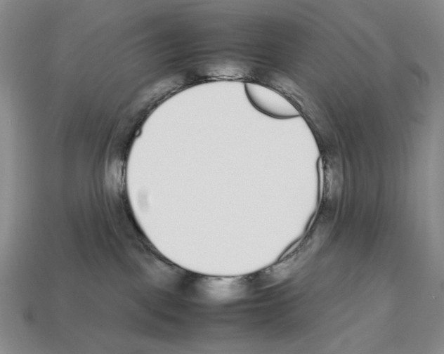 X0000112510093200909281005