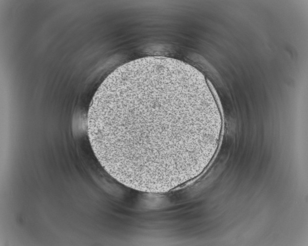 X0000112510095200909281005