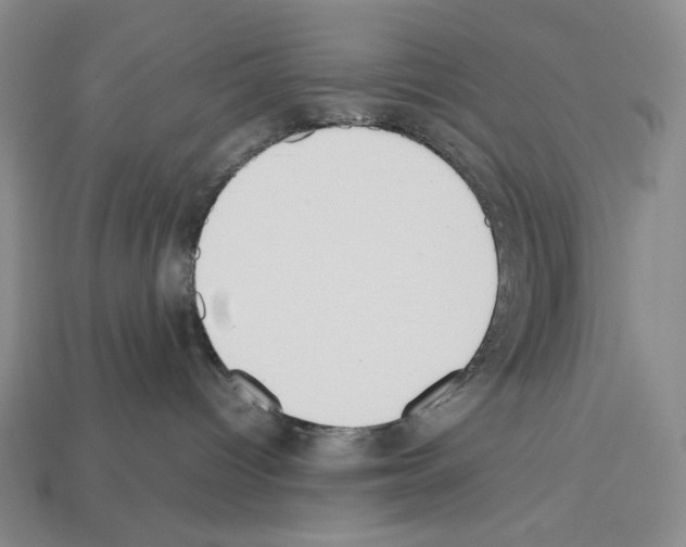 X0000112510096200909281005