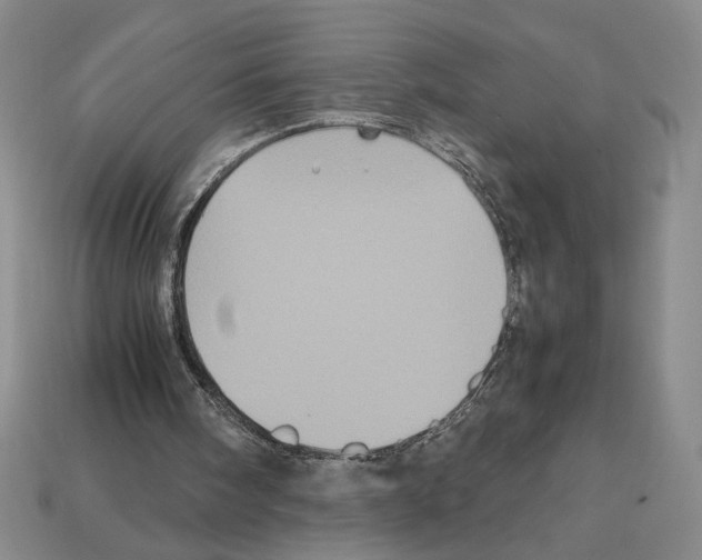 X0000112510098200909281004