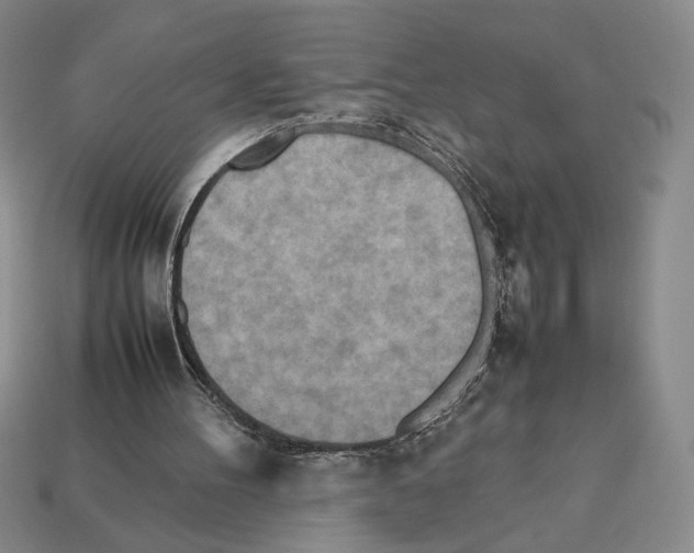 X0000112510100200909281004