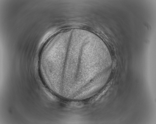 X0000112510101200909281004