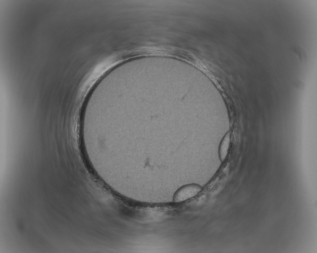 X0000112510103200909281004