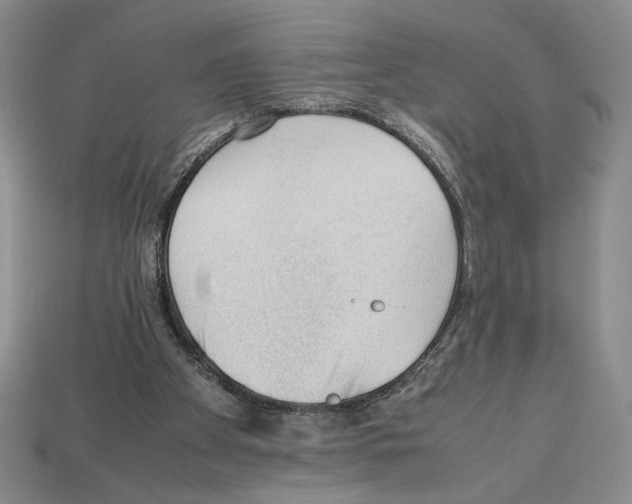 X0000112510105200909281004