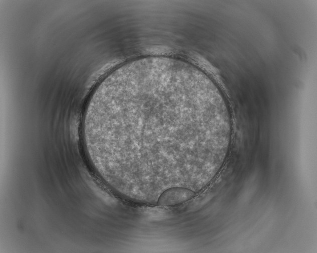 X0000112510106200909281004