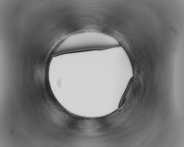 X0000112510108200909281004